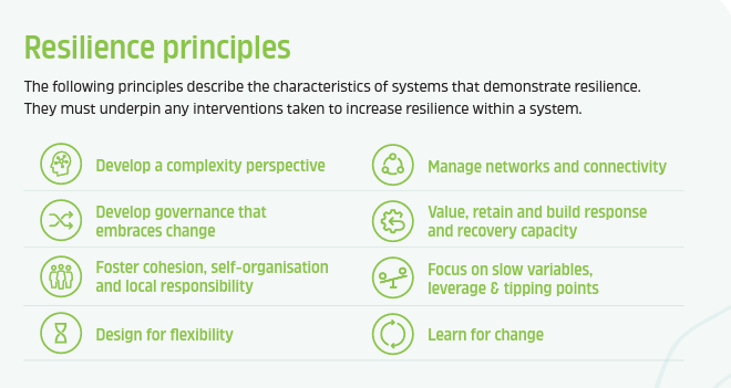 The image has the following text on it. Title: "Resilience principles". Description: "The Following principles describe the characteristics of systems that demonstrate resilience. They must underpin any interventions taken to increase resilience within a system." List: "Develop a complexity perspective. Develop governance that embraces change. Foster cohesion, self-organisation and local responsibility. Design for flexibility. Manage networks and connectivity. Value, retain and build response and recovery capacity. Focus on slow variables, leverage & tipping points. Learn for change."